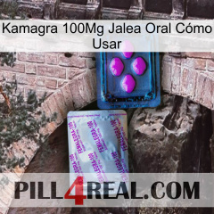 Kamagra 100Mg Jalea Oral Cómo Usar 37